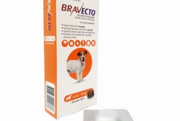 ブラベクト小型犬用1錠