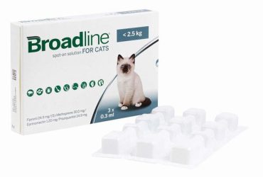 ブロードラインスポットオン猫用2.5kg未満