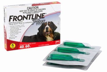フロントラインプラス超大型犬用6本