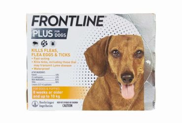 フロントラインプラス小型犬用3本