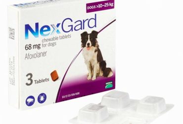 ネクスガード68mg（＞10kg～25kg）3チュアブル入り