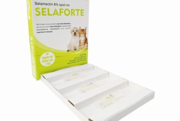 セラフォーテ子犬子猫用6本入り