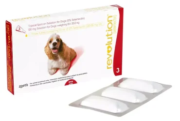 レボリューション中型犬用1.0ml×3本