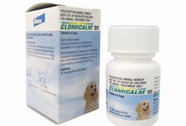 クロミカルム20mg30錠