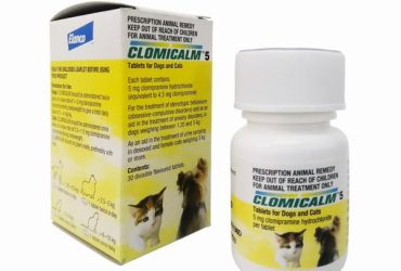 クロミカルム5mg30錠