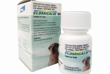 クロミカルム80mg30錠