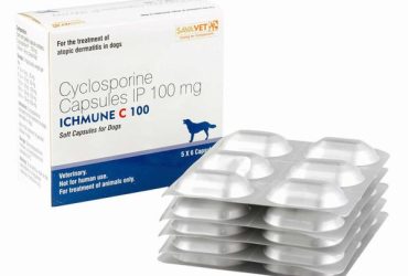 アイチュミューン100mg（アトピー性皮膚炎の薬）