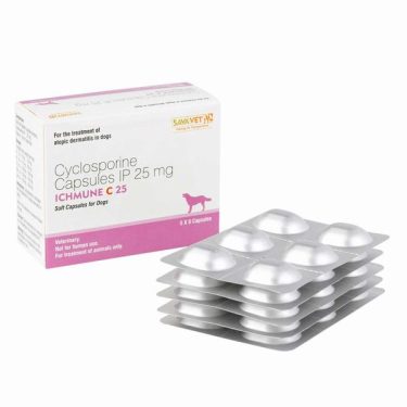 アイチュミューン 25mg（アトピー性皮膚炎の薬）