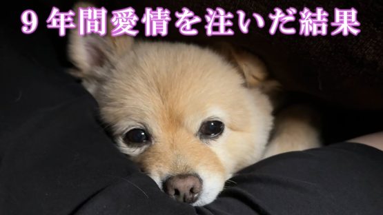 9年間、沢山の愛情を注いできた結果こうなりました…