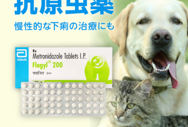 フラジール200mg90錠