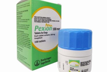 ペクシオン100mg100錠