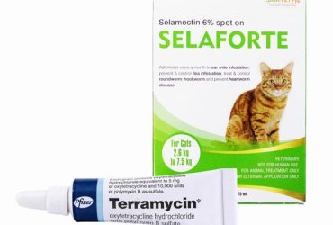 セラフォーテ猫用とテラマイシン