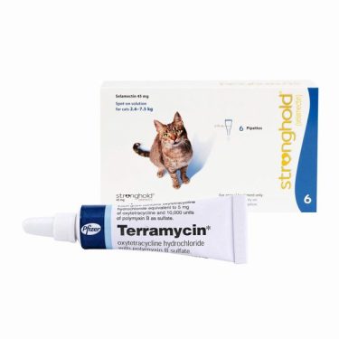 ストロングホールド猫用とテラマイシン