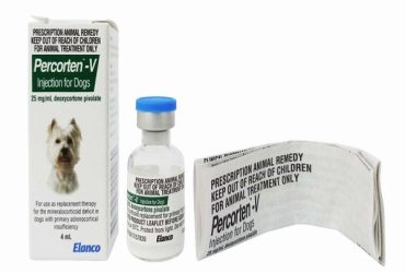 パーコーテンV 注射液4ml