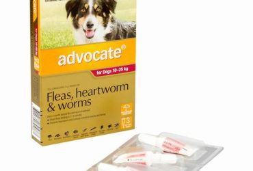 アドボケート中型犬用