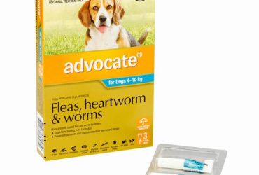 アドボケート小型犬用