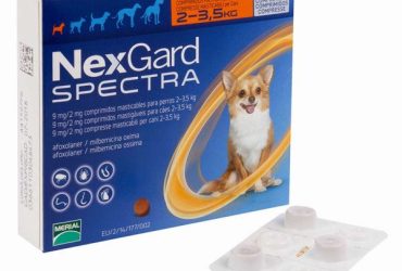 ネクスガードスペクトラ超小型犬用2～3.5kg未満