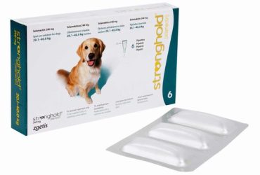 ストロングホールド大型犬用6本(レボリューション欧州版)