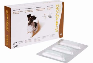 ストロングホールド小型犬用6本（レボリューション欧州版）