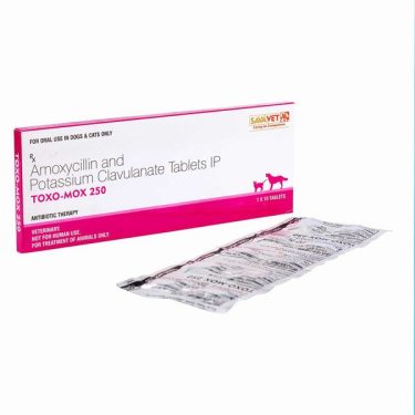 トキソモックス(Toxo-mox)250mg 【1箱10錠】